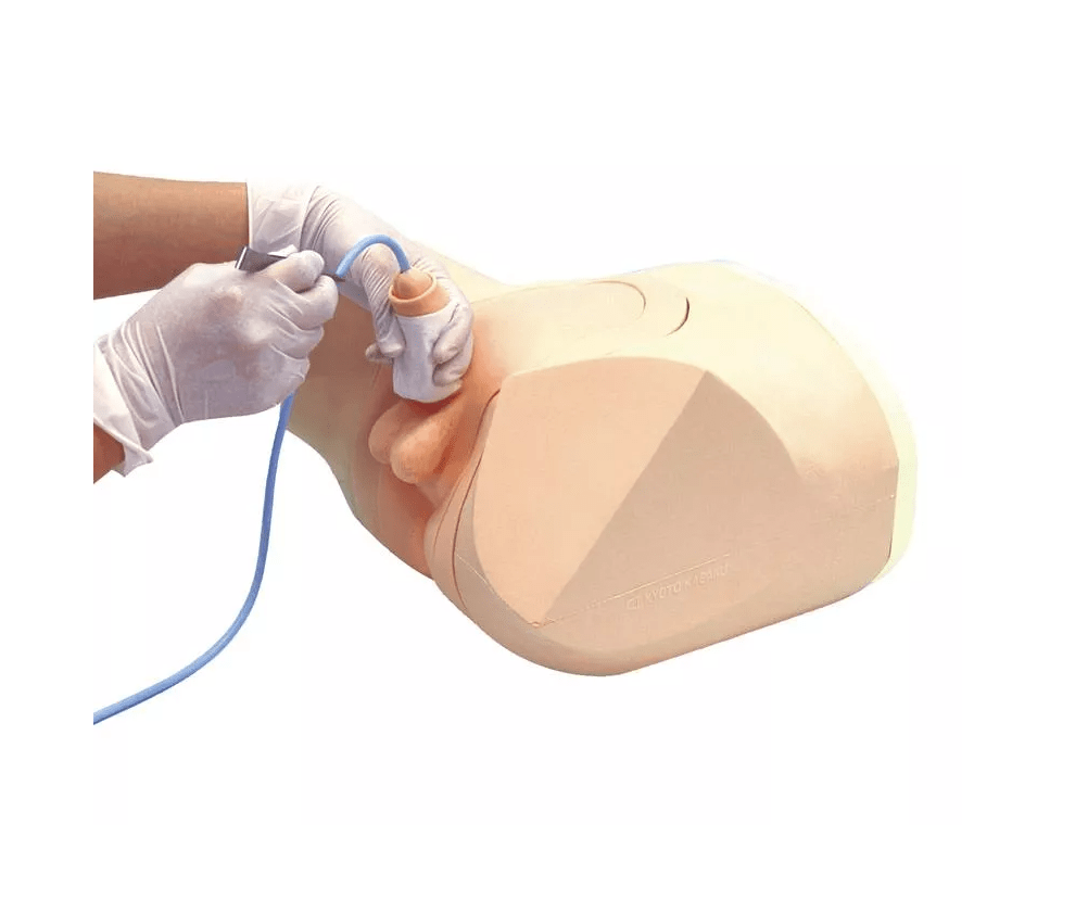 Katheterisierungs - /Einlauf - Simulator, männlich - Erler - Zimmer